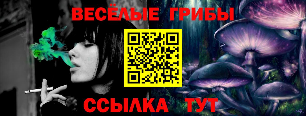 Псилоцибиновые грибы прущие грибы  Вход с VPN  Балашиха 